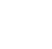 Papazov-Nik Logo